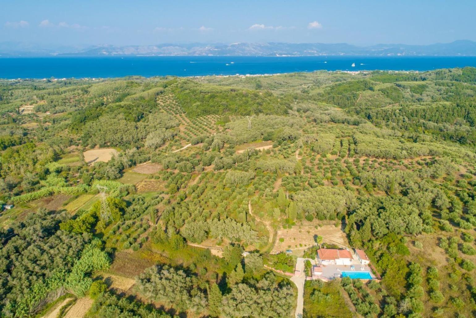 Villa Psaropouli Dragotiná Exteriör bild